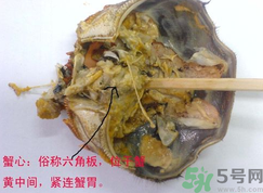 梭子蟹哪些部位不能吃？梭子蟹哪些人不能吃？
