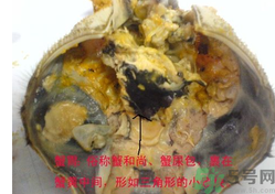 梭子蟹哪些部位不能吃？梭子蟹哪些人不能吃？
