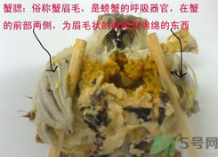 梭子蟹哪些部位不能吃？梭子蟹哪些人不能吃？