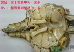 梭子蟹哪些部位不能吃？梭子蟹哪些人不能吃？