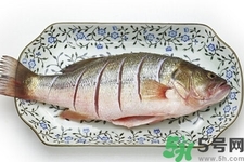 秋季適合吃什么魚？秋季吃魚的好處？