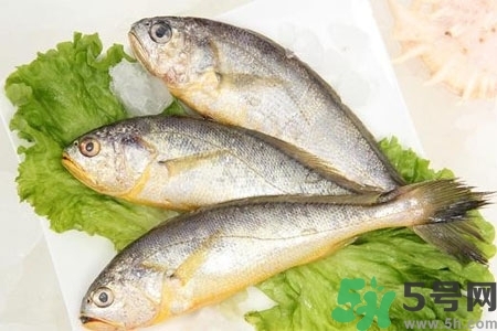 秋季適合吃什么魚？秋季吃魚的好處？