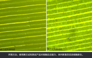 sk2大眼眼霜怎么樣？sk2大眼眼霜好用嗎？