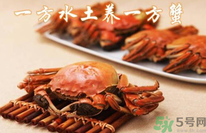 盤錦河蟹和陽(yáng)澄湖大閘蟹的區(qū)別？盤錦河蟹和陽(yáng)澄湖大閘蟹哪個(gè)比較好吃？