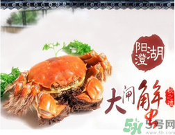 陽澄湖大閘蟹為什么出名？陽澄湖大閘蟹出名的原因
