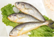 如何挑選新鮮魚？怎樣吃到不被污染的魚？