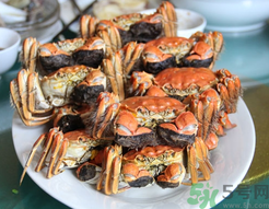 陽(yáng)澄湖大閘蟹和普通大閘蟹的區(qū)別？陽(yáng)澄湖大閘蟹比普通大閘蟹好在哪里？