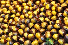 吃栗子會(huì)胖嗎？栗子吃多了會(huì)怎樣？