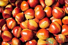吃栗子會(huì)胖嗎？栗子吃多了會(huì)怎樣？