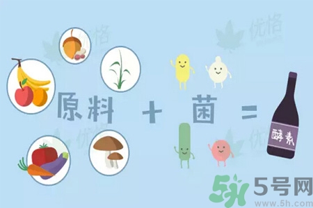 酵素什么時候吃最減肥？酵素減肥有用嗎？