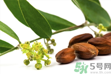 荷荷巴油可以直接擦臉嗎？荷荷巴油怎么去黑頭？