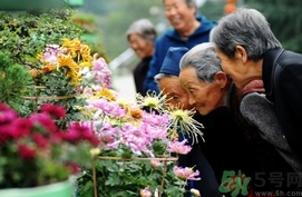 重陽節(jié)是陰歷還是陽歷？重陽節(jié)是什么意思？