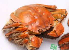 河蟹死了一天能吃嗎？河蟹死了多久不能吃？