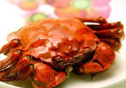 陽(yáng)澄湖大閘蟹哪里買？哪里能買到正宗的陽(yáng)澄湖大閘蟹？
