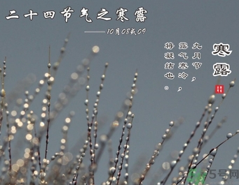 寒露是什么意思？寒露是幾月幾日