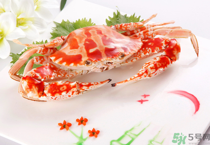 梭子蟹和花蟹的區(qū)別？梭子蟹和花蟹哪個(gè)好吃？