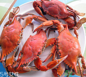 梭子蟹和飛蟹的區(qū)別？飛蟹是梭子蟹嗎？