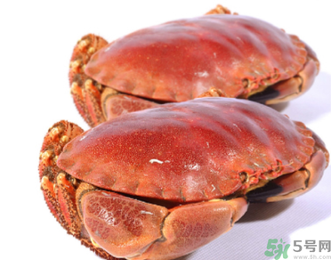 面包蟹多少錢一斤？面包蟹多少錢一只？