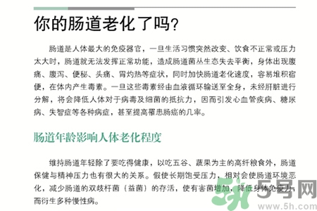 引起腸道老化的原因是什么？四種人腸道老化快