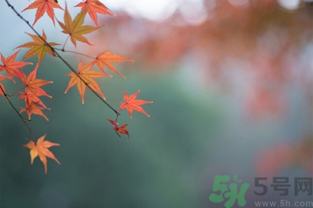 秋燥皮膚癢吃什么好？秋燥4妙招保護皮膚