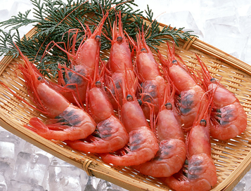 海蝦煮多長(zhǎng)時(shí)間熟？海蝦怎么煮？