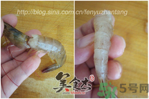 活蝦怎么處理干凈蝦線？活蝦怎么去蝦線？