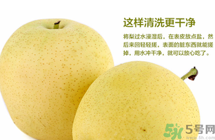 皇冠梨是雪梨嗎？皇冠梨和雪梨的區(qū)別