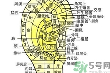 每天揉耳朵有什么好處？?揉耳朵的正確方法是什么？