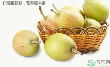 孕婦能吃香梨嗎？香梨孕婦可以吃嗎？