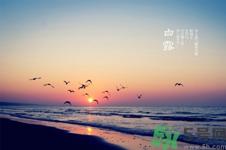 白露節(jié)吃什么？白露節(jié)的傳統(tǒng)美食有哪些？