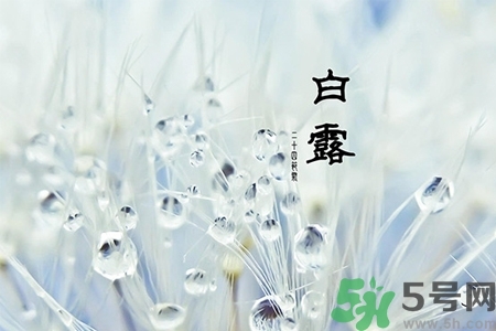 白露節(jié)吃什么？白露節(jié)的傳統(tǒng)美食有哪些？
