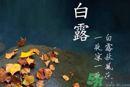 白露節(jié)吃什么？白露節(jié)的傳統(tǒng)美食有哪些？