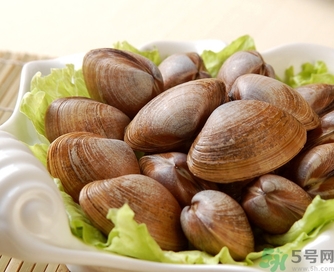 蛤蜊是發(fā)物嗎？手術(shù)后可以吃蛤蜊嗎？