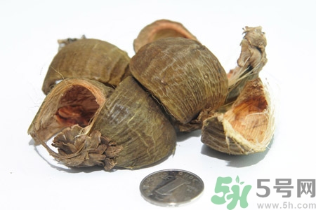 檳榔致癌嗎？檳榔對身體有什么影響嗎？