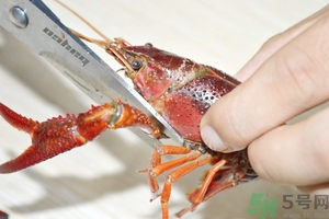 活蝦怎么處理干凈蝦線？活蝦怎么去蝦線？