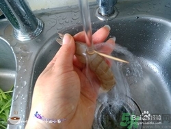 活蝦怎么處理干凈蝦線？活蝦怎么去蝦線？