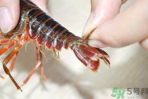 活蝦怎么處理干凈蝦線？活蝦怎么去蝦線？