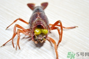 活蝦怎么處理干凈蝦線？活蝦怎么去蝦線？