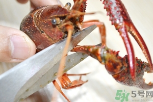 活蝦怎么處理干凈蝦線？活蝦怎么去蝦線？