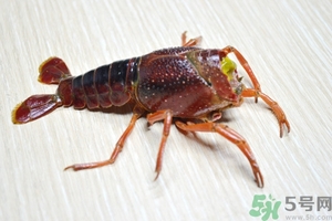 活蝦怎么處理干凈蝦線？活蝦怎么去蝦線？