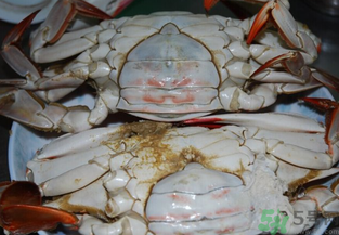 海蟹蒸多長(zhǎng)時(shí)間？海蟹蒸多長(zhǎng)時(shí)間最好吃？