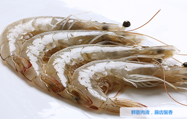 海蝦怎么保存？活海蝦怎么保存？