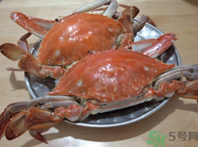 海蟹蒸多長(zhǎng)時(shí)間？海蟹蒸多長(zhǎng)時(shí)間最好吃？