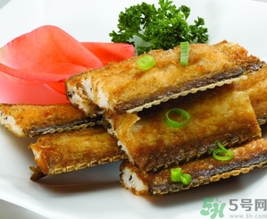 帶魚是發(fā)物嗎？手術(shù)后可以吃帶魚嗎？