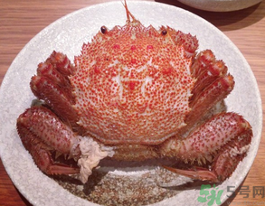 紅毛蟹怎么吃？紅毛蟹怎么做好吃？