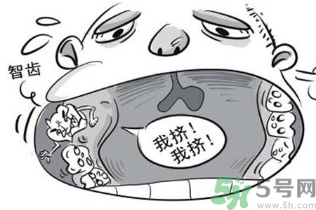 智齒拔了好不好？智齒能不拔嗎？