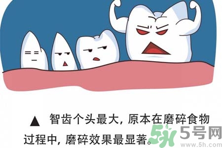 拔智齒一顆多少錢？拔除智齒收費多少？