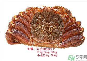 毛蟹蒸多長時(shí)間？毛蟹蒸多久會(huì)熟？