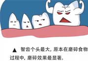 智齒拔了好不好？智齒能不拔嗎？