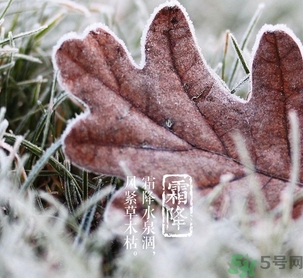 霜降出生的孩子好嗎？霜降出生的寶寶怎么取名？